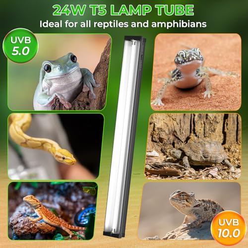 Lustaled 22’’ 24W T5 UVB Reptile Light Combo Kit Switchable UVB 5.0, 10.0 | for Tropical & Desert Reptiles, Reptile Lamp Terrarium Hood UVB Light for Bearded Dragon, Lizards, Snake, Chameleon, Turtle