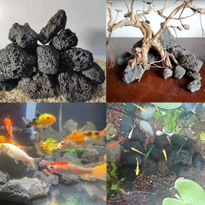 Tfwadmx 10 Pack Aquarium Black Lava Rock Fish Tank Volcanic Pumice Stones for Fish Shrimp Betta(1.18''-1.96'') - color: Black, size: M:1''-2''