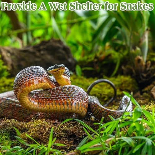 Halatool 1.1LB Sphagnum Moss for Reptiles(Turtles, Geckos, Snakes, Frogs, Hamsters), Natural Forest Long Fibered Dried Moss Bulk for Reptiles Substrate & Bedding - 25QT Reptile Habitat Accessories - size: 1.1 LB