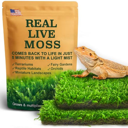LUCKYRUNES Live Moss for Terrarium Bedding & Reptile Enclosures | Moisture-Holding Layer, Humid Hide Accent, Forest-Floor Look, Easy to Trim, For Frogs, Geckos, Turtles, Snakes