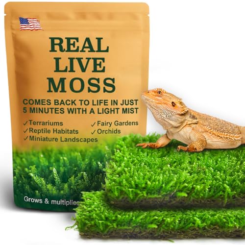 LUCKYRUNES Live Moss for Terrarium Bedding & Reptile Enclosures | Moisture-Holding Layer, Humid Hide Accent, Forest-Floor Look, Easy to Trim, For Frogs, Geckos, Turtles, Snakes