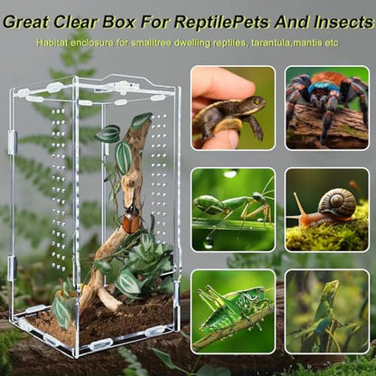 Acrylic Tarantula Enclosure, Micro Habitat Terrarium for Arboreal & Terrestrial Reptiles, Spiders and Invertebrates, Small Acrylic Reptile Enclosure for Jumping Spiders, Amphibians - size: 4 * 4 * 8 inch