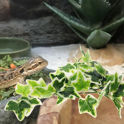 BESPORTBLE Fake Hanging Plant for Reptile Terrarium with Suction Cup, Artificial Leaf Decoration for Amphibious Habitat, Indoor Reptile Tank Decor