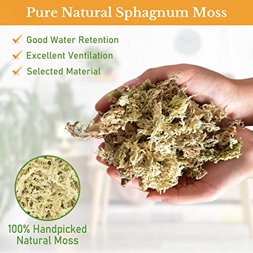 Riare 10 OZ Premium Sphagnum Moss- Natural Long Fibered Sphagnum Peat Moss Plants Moss Dried, Carnivorous Plants Moss Orchid Potting Mix for Orchids, Carnivorous Plants, Succulent (12QT) - size: 12QT/10oz