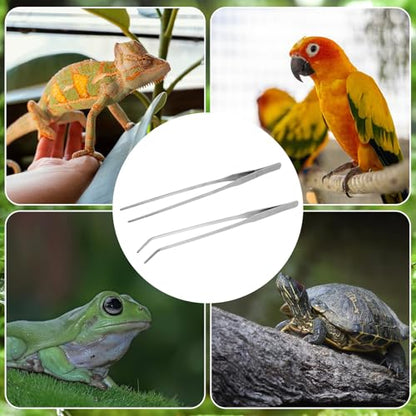 2Pcs Reptile Feeding Tongs with Rubber Tip, 10.6 Inch Stainless Steel Straight and Curved Extra Long Tweezers for Aquarium, Snakes, Turtles, Salamanders, Lizards Feeding (2 pcs)