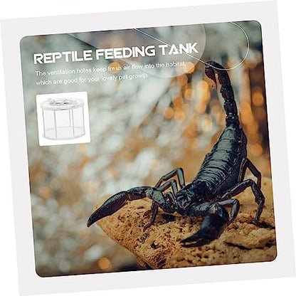 Transparent Acrylic Breeding Box for Reptiles and Pets Compact Display Case for Lizards Insects and Spiders Lightweight Easy to Use Habitat Holder