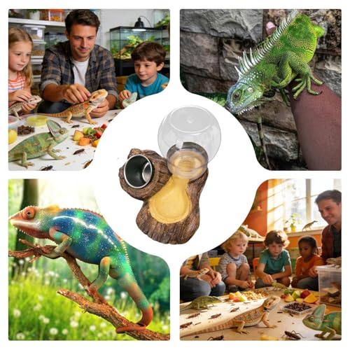 Reptile Feeder,Feeding Drinking Dish for Reptile,Leopard Water and Food Bowl - for Enclosure Terrarium Turtle Tortoise Snake Bearded Dragon Lizard Chameleon Leopard