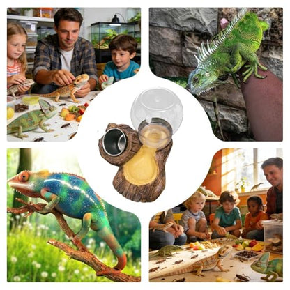 Reptile Feeder,Feeding Drinking Dish for Reptile,Leopard Water and Food Bowl - for Enclosure Terrarium Turtle Tortoise Snake Bearded Dragon Lizard Chameleon Leopard