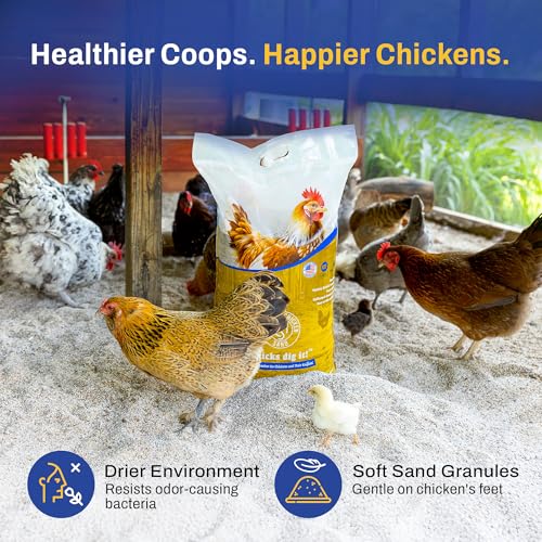 Premium Chicken Sand 50 lbs (8-Pack) – Dust-Free, Odor-Control Bedding for Chicken Coops, Nesting Boxes, and Runs – Natural Poultry Litter, 400 lbs Total - size: 8 Pack