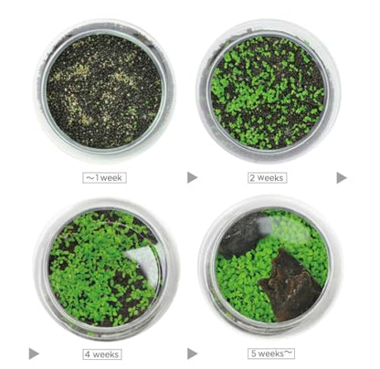 Kraftstories Water Terrarium Kit with Mini Glass Bowl, substrate and seeds | Create Your Own Indoor Garden| DIY Complete Set for Simple, Stunning Growth Unique Gift for nature lover (3.75" H - 4.5" W) - size: 3.75" H - 4.5" W