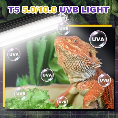 T5 HO UVB Lighting Combo Kit, Reptile Light Fixture, 8W 5.0 UVB | Fluorescent Light Bulb, Tropical Light for Reptile and Amphibian, Basking Light for Bearded Dragon, High Output Natural Light