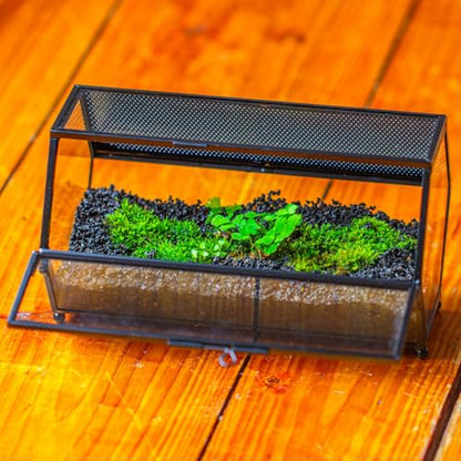 NCYP Small Glass Terrarium Enclosure with Mesh & Door for Tiny Beetle, Jumping Spiders, Hexagon Vented Glass Terrarium 6.8'' x 4.1'' x 3.6'', Indoor Decor, Black (Plants Not Include) - size: 6.8'' x 4.1'' x 3.6''