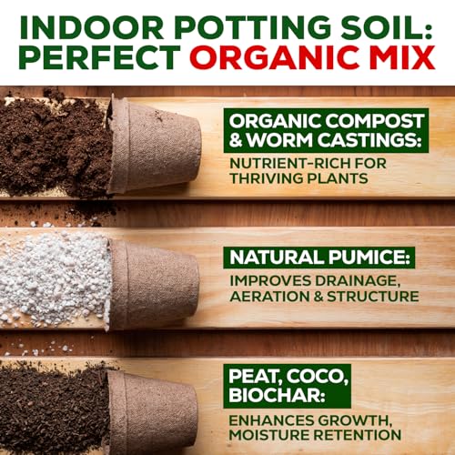 Organic Potting Soil for Indoor Plants. Boost House Plant Growth for Monstera, Fiddle Leaf, Money Tree, Pothos, Snake Plant, Aroid, Flowers, Herbs, Veggies, & More, Smart Grower 3 LB Ready to Plant