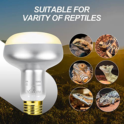 WACOOL 2 Pack 100W Reptile Heat Lamp Bulbs - Intense Basking Spot Lights for Bearded Dragons, Lizards, Turtles, Tortoises, Geckos - UVA Daylight Heat Lamp for Terrariums, Vivariums & Enclosures - style: 100W-2pack