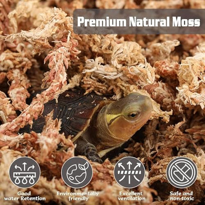 ZeeDix 8 oz Sphagnum Moss for Indoor Plants, Natural Orchid Potting Mix for Repotting, Dried Long Fiber Sphagnum Peat Moss for Carnivorous Plants Succulents Reptile Habitats (Expands to 12 qt) - size: 8 ounces