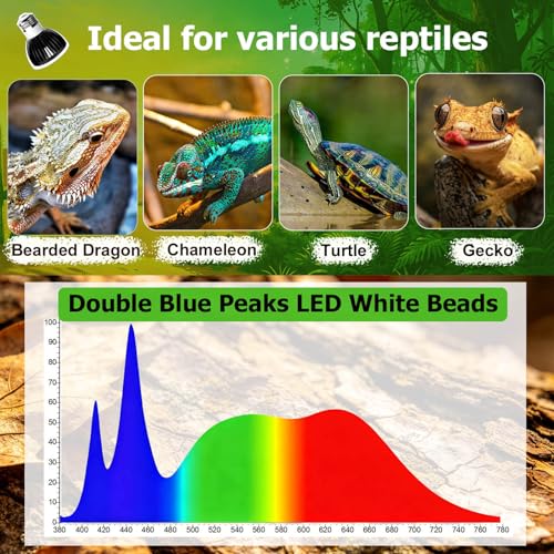 UVB Light for Reptiles with Anti-Glare Lens UVB Bulb 5W LED UVA UVB Reptile Light Bulb Soft Glow UVA UVB Lights for Turtle, Cameleon, Lizard, Bearded Dragon, Gecko 1 Pack