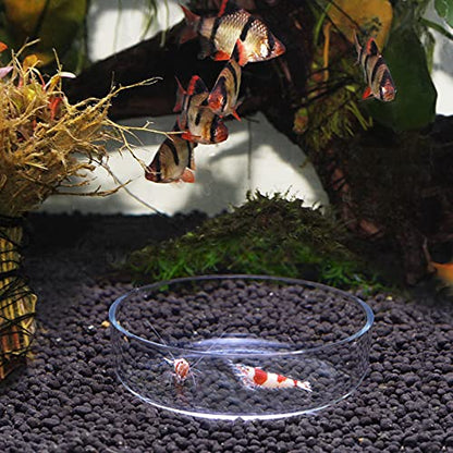 WEAVERBIRD 80mm Aquarium Shrimp Feeder Dish Glass Fish Tank Feeding Bowls Round Clear Dishes Tray - size: 80MM