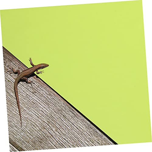 Garneck 2pcs Reptile Carpet Mat for Terrarium Non-Tearing Bedding for Tanks for Snakes Lizards Tortoises and More - size: 150X45CM