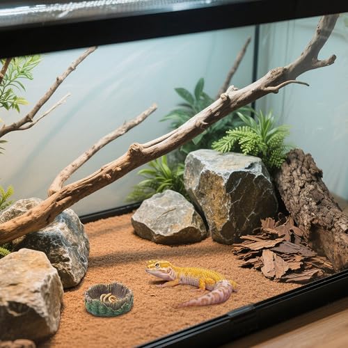 Reptile Water Dish Hermit Crab Food Bowl Small for Tank Feeding 2 Pack