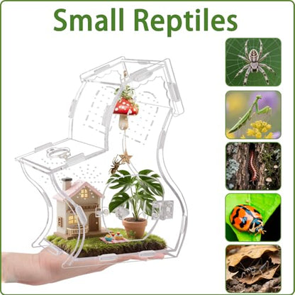 Magnetic Acrylic Enclosure for Jumping Spiders & Small Reptiles – 5.9"x4.7"x9.4" Escape-Proof Habitat with Easy-Feed Magnetic Door, 3mm Thick Clear Terrarium for Tarantulas, Mantis, Geckos & Beetles - size: 5.9 x 4.7 x 9.4 inches