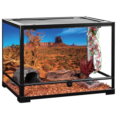 AWERT 72x18 inches Blue Sky Oasis Cactus Sun and Desert Terrarium Background Orange Reptile Habitat Background - size: 72x18in/180x45cm