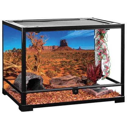 AWERT 30x18 inches Blue Sky Oasis Cactus Sun and Desert Terrarium Background Orange Reptile Habitat Background - size: 30x18in/75x45cm