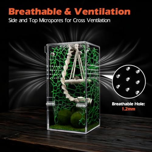 AZV Jumping Spider Enclosure Escape Proof Praying Mantis Habitat Arboreal Tarantula Terrarium with Magnetic Opening Door Baby Spider House Fully Transparent Acrylic Reptile Tank Insect Cage Bug Cribs - size: Small