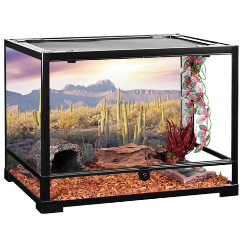 AWERT Reptile Habitat Background Blue Sky Oasis Mountain Cactus Sun and Desert Terrarium Background 72x24 inches - size: 72x24in/180x60cm