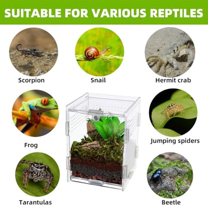 Acrylic Jumping Spider Enclosure with Magnetic Top & Escape-Proof Vents - Small Critter Keeper 4.5x3.3x3.3 Inch for Hermit Crab Frog Tarantula Mantis - Reptile Tank Habitat High Clarity Terrarium