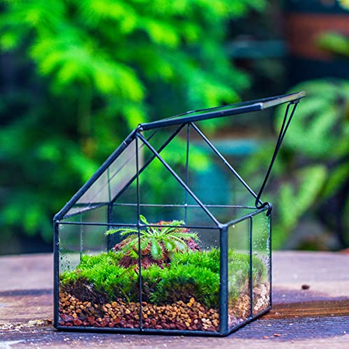 NCYP Mini Glass Terrarium with Lid - 4.25" x 4.25" x 4.92" House Shape Close Geometric Planter Pot for Mini Succulents Plant, Moss - Handmade, Home Garden Office Decor, Black (Terrarium Only) - size: 4.25x4.25x4.92 inches