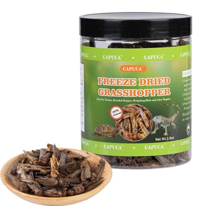 Dried Grasshoppers for Reptiles - All Natural High Protein Insect Treats for Bearded Dragons, Turtles, Geckos, Lizards, Hedgehogs & Birds (3.5oz)