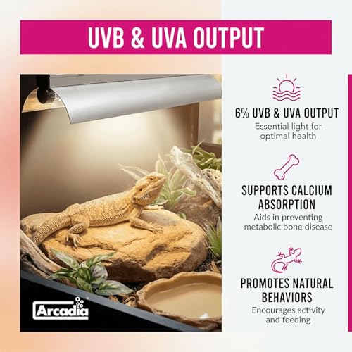 Arcadia T5 UVB Reptile Light Fixture Kit 36" Long 39 Watts 6% UVB Forest – Complete UVB Light for Reptiles, Turtles, Snake, Bearded Dragon Lamp, Long Lasting Easy to Use Professional Lighting