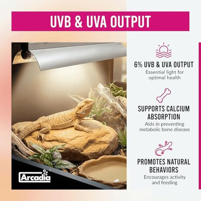 Arcadia T5 UVB Reptile Light Fixture Kit 36" Long 39 Watts 6% UVB Forest – Complete UVB Light for Reptiles, Turtles, Snake, Bearded Dragon Lamp, Long Lasting Easy to Use Professional Lighting