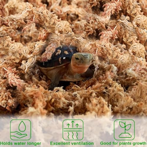 Halatool 3.6OZ Premium Sphagnum Moss for Indoor Plants, 4 QT Orchid Moss Potting Mix - Natural Sphagnum Moss for Succulents, Carnivorous(Sarracenia), Monstera, Terrarium Substrate & Reptile Habitats - size: 4 qt (0.2 lbs)
