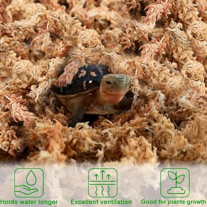 Halatool 3.6OZ Premium Sphagnum Moss for Indoor Plants, 4 QT Orchid Moss Potting Mix - Natural Sphagnum Moss for Succulents, Carnivorous(Sarracenia), Monstera, Terrarium Substrate & Reptile Habitats - size: 4 qt (0.2 lbs)