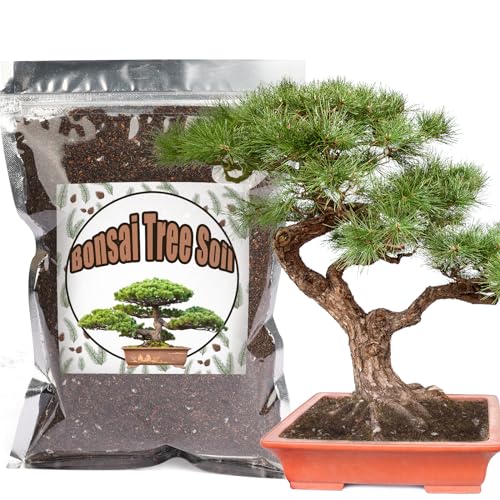 Doter Bonsai Soil Mix 2qt Ready to Use, Organic Bonsai Tree Soil Fits for Small Bonsai Pot, Suitable for Bonsai Seedling, Repotting, or Bonsai Starter Kit, black - size: 2qt