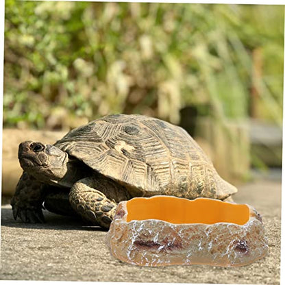Reptile Water Feeder Durable Pet Drinking Tool for Lizards Geckos Animals Easy to Unique Design for Feeding Hydration Needs