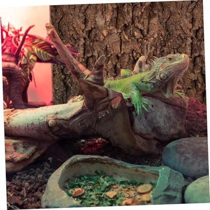 BESPORTBLE 2pcs Cork Bark Reptile Decor for Climbing Tanks Background for Terrarium and Aquarium for Lizards Bearded Dragons