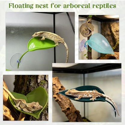 5pcs Crested Gecko Hide Leaf Reptile Wall Climbing Gecko Toy Tank Accessories Including Wall & Dodging Leaves Plastic Reptile Thank Decorations for Turtle Tree Frog Snake Terrarium