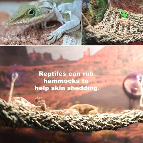 Bearded Dragon Hammock Lizard Tank Accessories Reptile Lounger Amphibian Habitat Décor for Chameleon, Geckos, Snakes, Hermit Crab, Lguana Reptiles, Tortoises - size: 22"T+8"