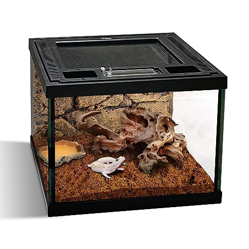 Mini Reptile Glass Terrarium Tank 8 * 8 * 6" Full View, Amphibians Box Habitat Enclosure Cage for Frog,Spiders,Dubia Cockroach,Praying Mantis,Cricket,Tarantula,Hermit Crab - size: 8*8*6inch