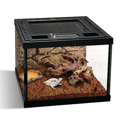 Mini Reptile Glass Terrarium Tank 8 * 8 * 6" Full View, Amphibians Box Habitat Enclosure Cage for Frog,Spiders,Dubia Cockroach,Praying Mantis,Cricket,Tarantula,Hermit Crab - size: 8*8*6inch