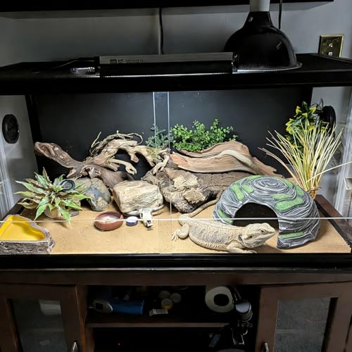 Extra Large Reptile Hide Resin Snake Hideout for Ball Pythons Reptile Hides and Caves Simulation Rock Terrarium Hideout for Habitat Lizard Leopard Gecko Bearded Dragon