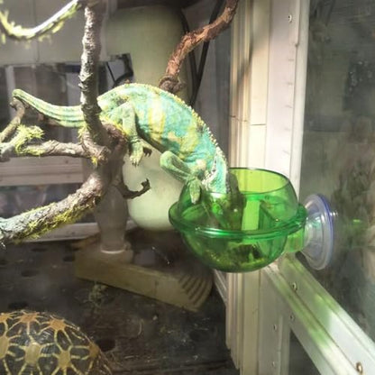 HEMOTON 4pcs Reptile Feeding Bowl Set with Suction Cup, Terrarium Food and Water Dish for Tree Climbing Lizards, Chameleons, and Geckos