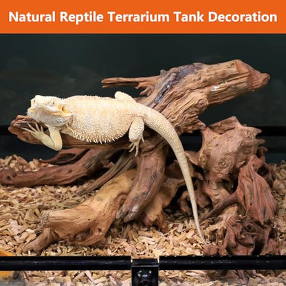 Natural Reptile Wood Bearded Dragon Tank Accessories, Reptile Climbing & Basking Branch Aquarium Driftwood Reptile Hide Terrarium Decor for Gecko, Lizard, Chameleon, Snake