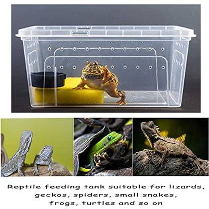 Hamiledyi 2PCS Reptile Feeding Box Snake Breeding Box Transparent Cage and Reptile Bark Bedding Tortoise Habitat Substrate Natural Terrarium Bark for Snake Spiders Bearded Dragons Hermit Crabs Geckos
