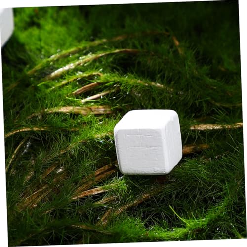 Happyyami 30pcs Natural Mineral Calcium Blocks for Turtles Tortoises Lizards Frogs Chameleons Enhances Water Stability Supports Growth and Versatile Reptile Amphibian Care