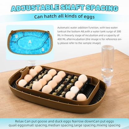 Ploomi 24 Eggs Incubator with Auto Water Refill & Humidity Control, Automatic Egg Turner, Built-in LED Candler, Species Pre-Programs for Chicken Duck Quail Turkey - Beginner Friendly