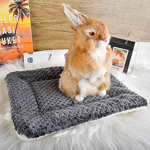 Small Animal Bed Mat, Soft & Warm, Suitable for Guinea Pig, Hamster, Rabbit, Rat and Bearded Dragon (XX-Large(19.7''x15.7''), Mesh Black) - color: Mesh Black, size: XX-Large(19.7''x15.7'')
