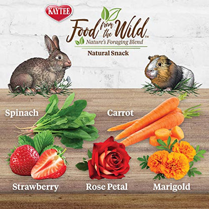Kaytee Food from The Wild Natural Snack for Pet Rabbits, Guinea Pigs And Other Small Animals, 1 Ounce - size: 1 Ounce (Pack of 1)